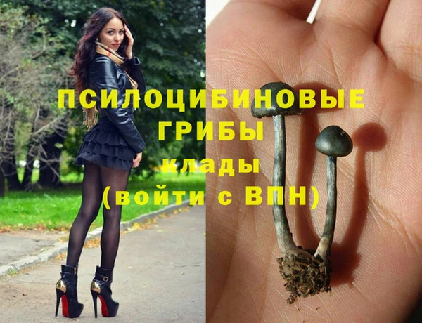 мдпв Армянск