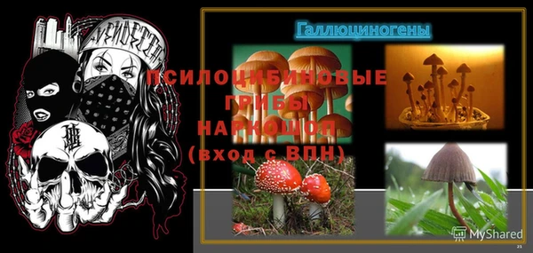 прущий лед Аркадак