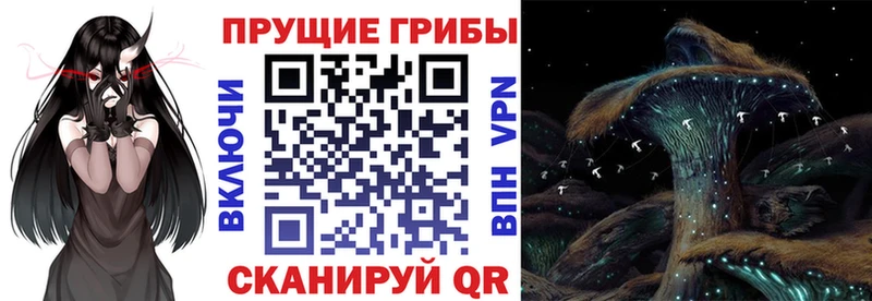 Галлюциногенные грибы Cubensis  kraken ссылки  Партизанск 